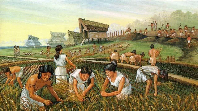 The agricultural revolution