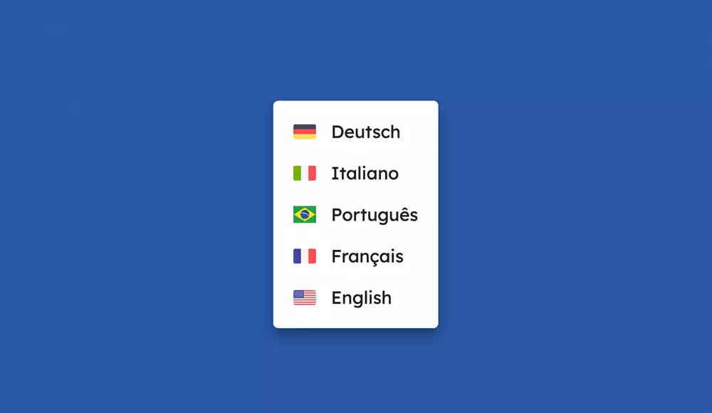 Veezoo supported languages